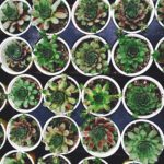 shop with bitcoin on etsy